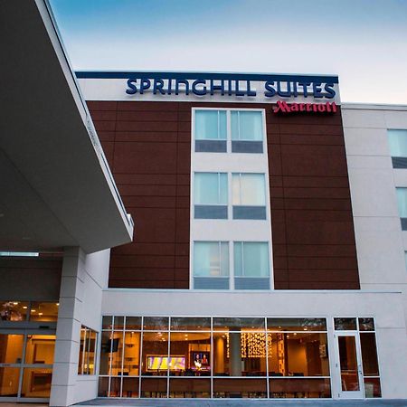 Springhill Suites By Marriott Wisconsin Dells Exterior photo